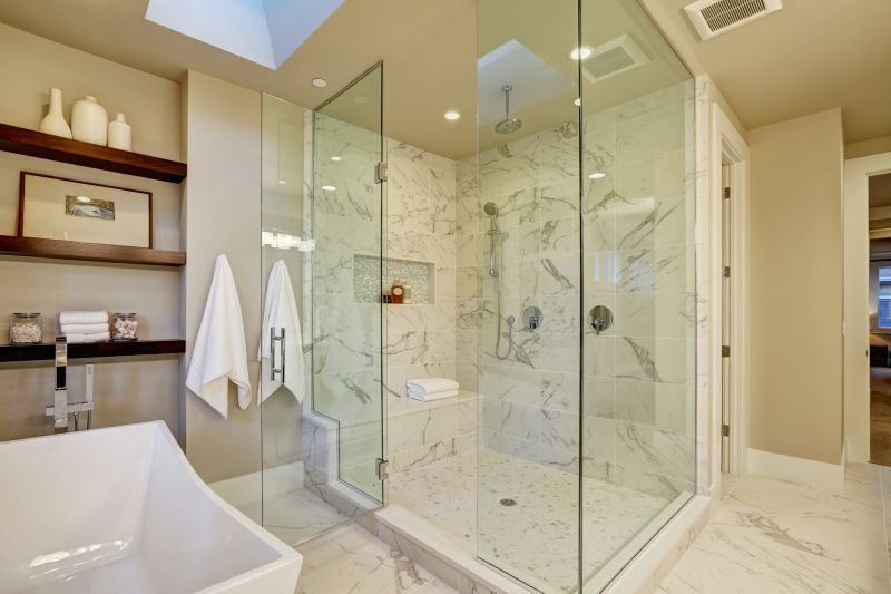 Modern Bathroom Shower Setup